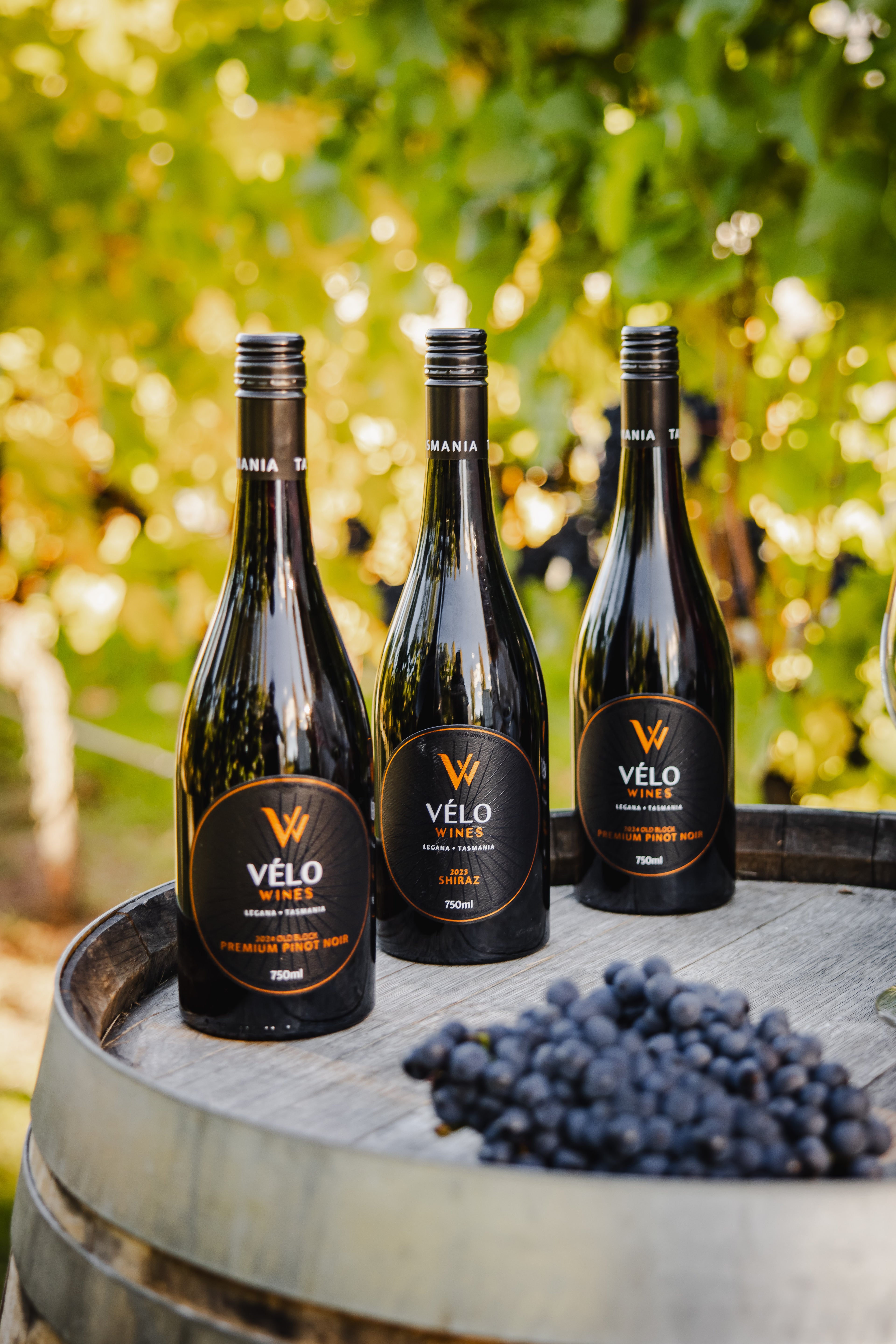 Three bottles of VÉLO Shiraz from the Marana Winery are displayed on a wooden barrel outdoors, with a cluster of dark grapes in the foreground and a blurred vineyard background.