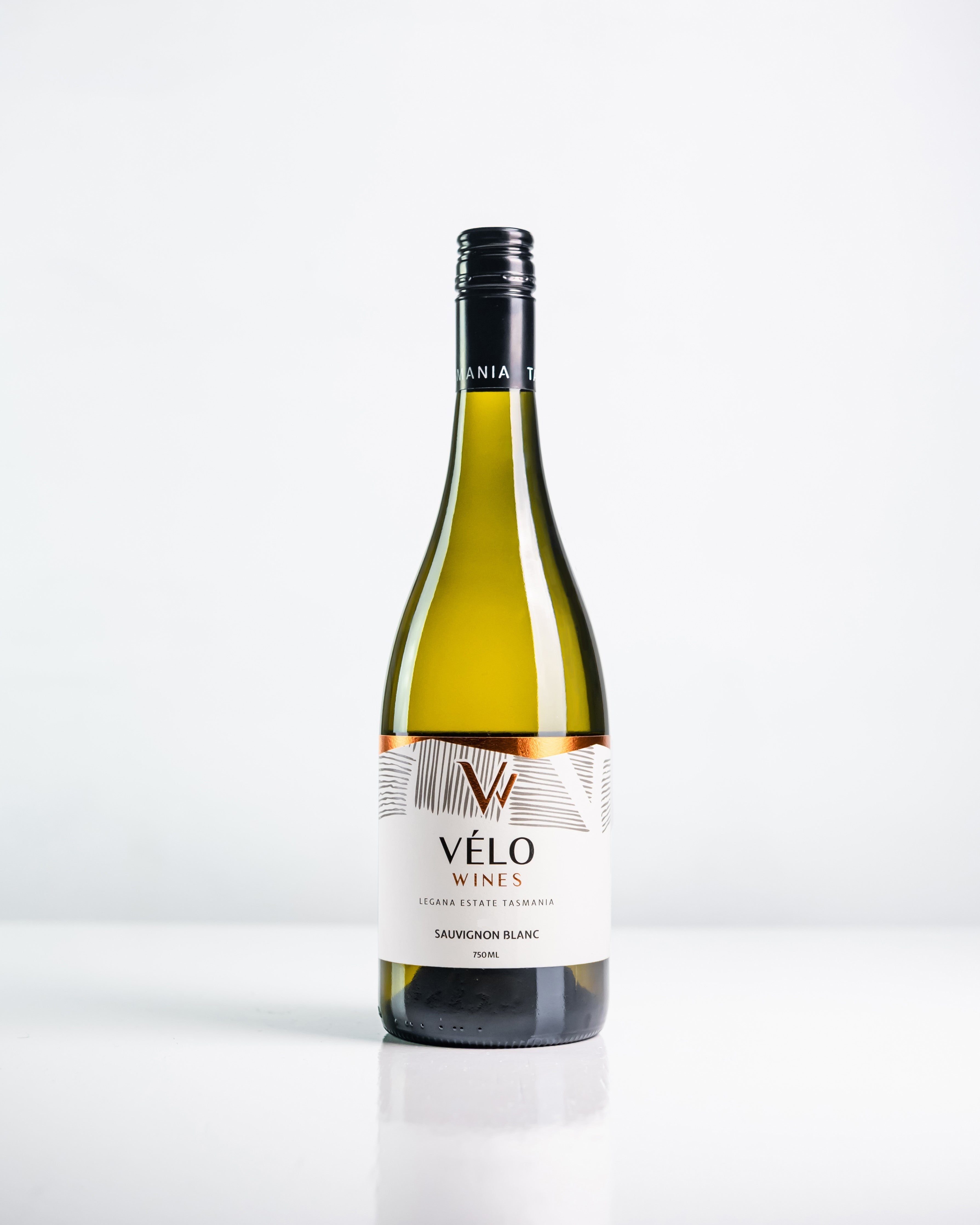 2024 Sauvignon Blanc